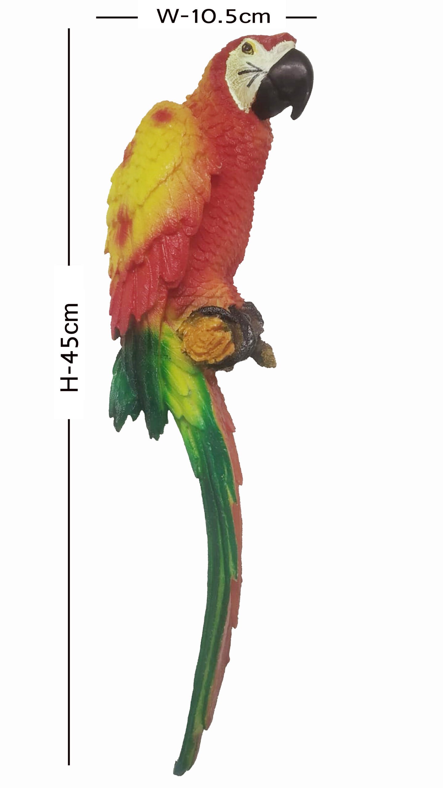 Macaw Parrot Statue Dimensions 11.5 x 10 x 45 cm