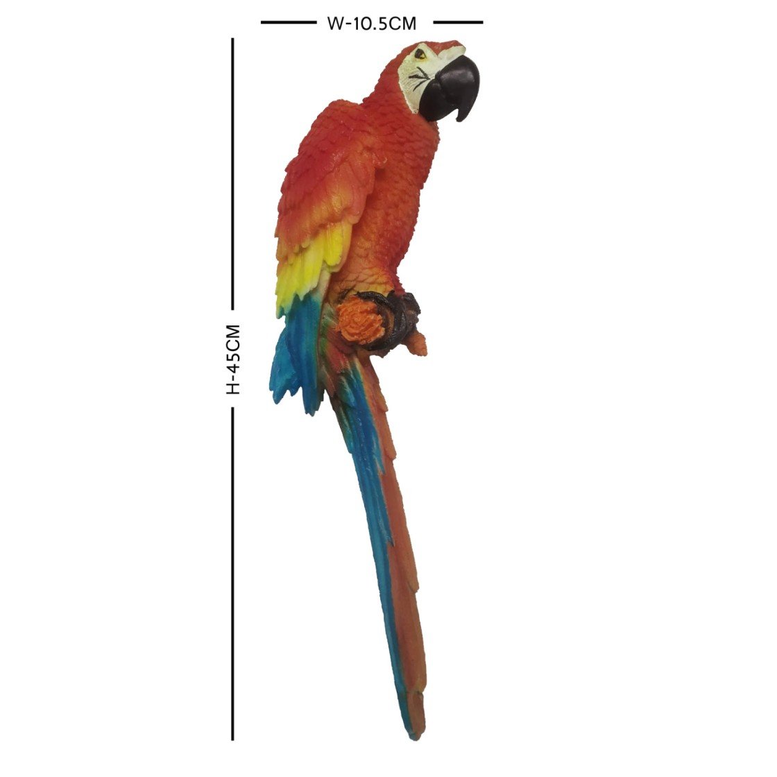 macaw-parrot-wall-hanging-showpiece-dimensions.