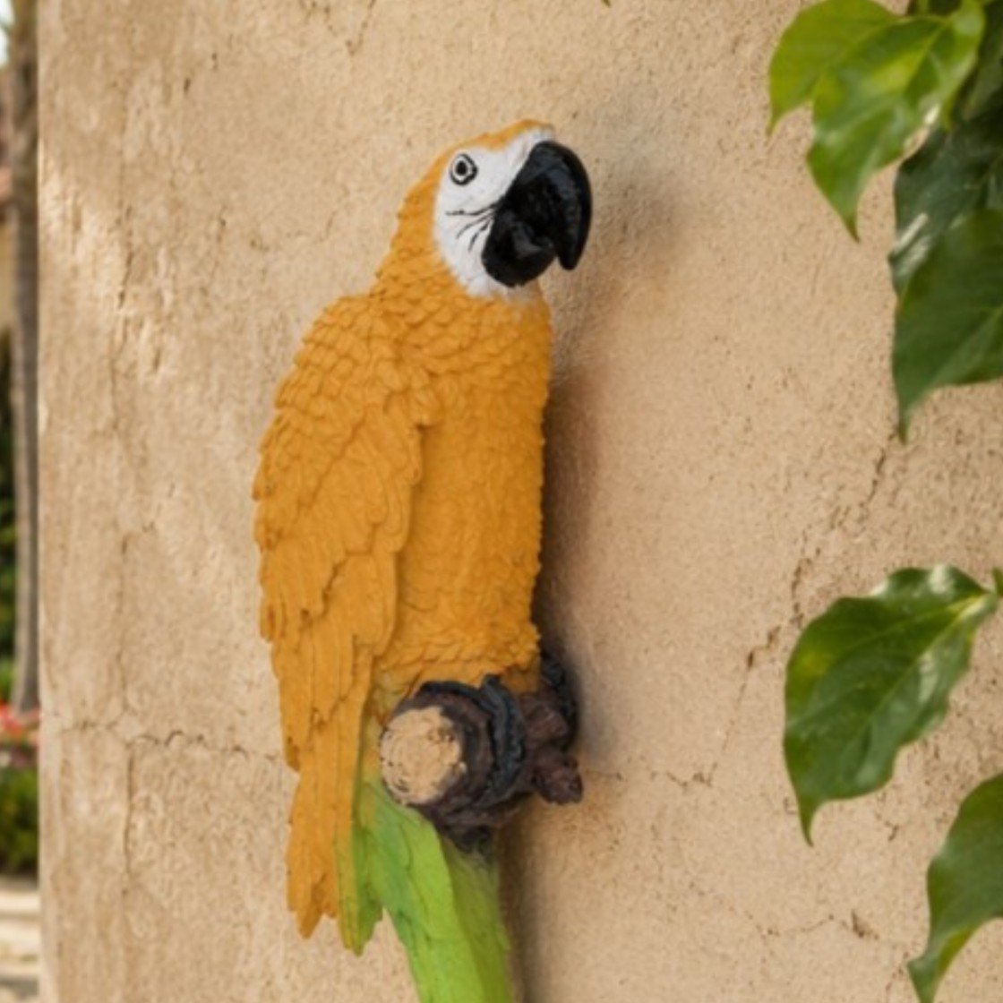 Close up detail tropical scarlet macaw wall decor resin parrot statue craftsmanship