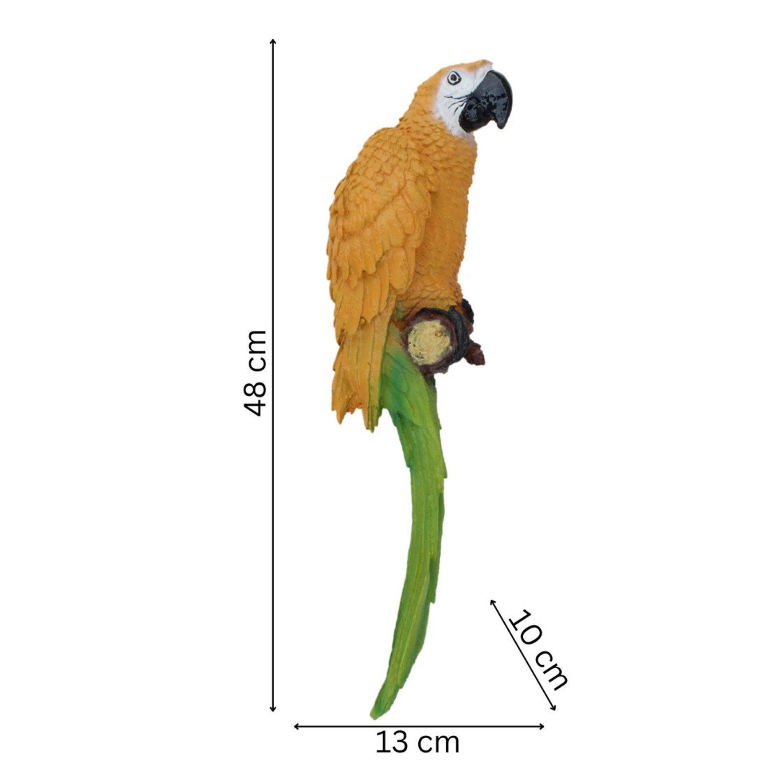 Tropical scarlet macaw wall sculpture dimensions 45 cm height resin parrot statue size guide